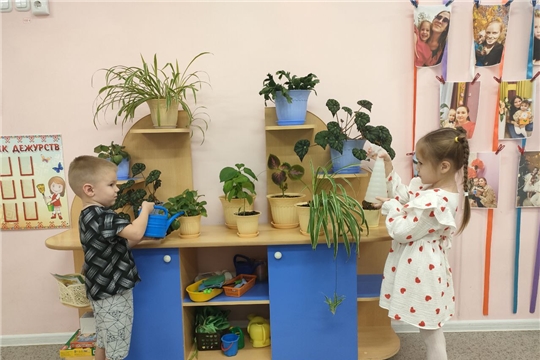 Уход за комнатными растениями