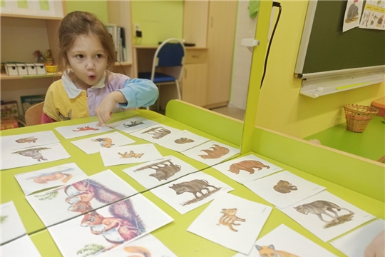 Изучаем домашних животных
