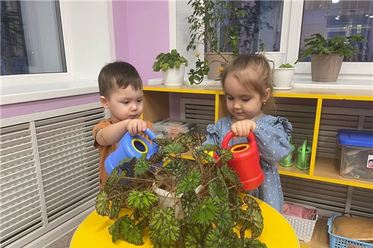 Комнатные растения в детском саду