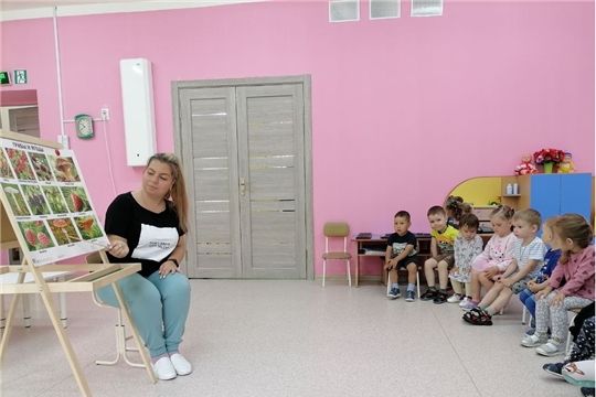 «Осторожно, ядовитые грибы и ягоды!»