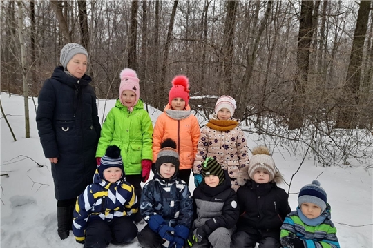 Экскурсия в зимний лес