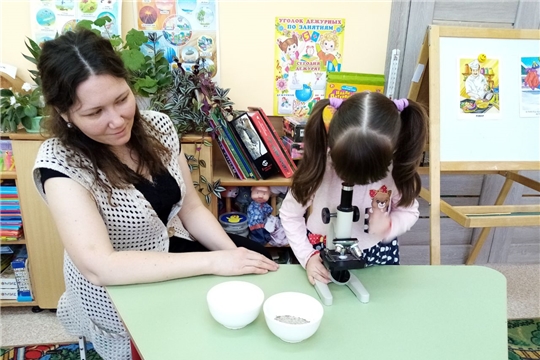 Удивительные свойства соли