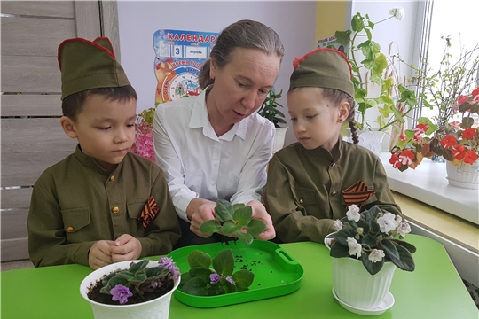 Социально-патриотическая акция "Цветок ветерану"