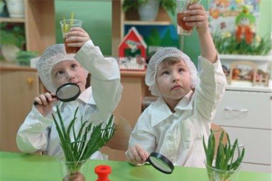 Экспериментальная деятельность с растениями