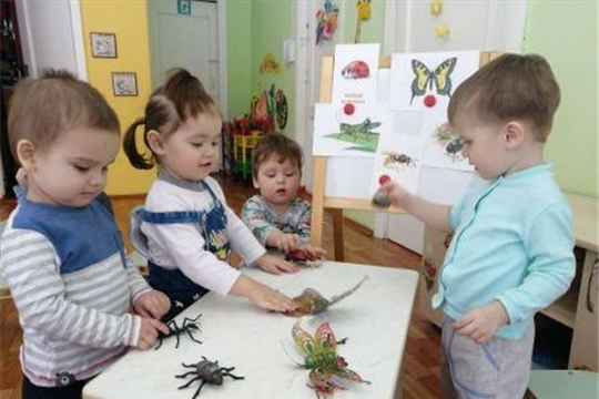 Знакомство с насекомыми "Забавные букашки"