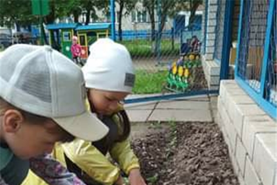 Воспитанники украшают клумбы детского сада цветами