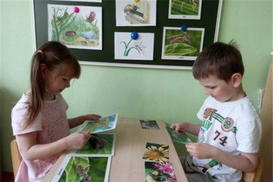 Опасные насекомые