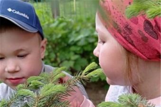 В рамках Всемирного дня охраны окружающей среды с воспитанниками средней группы прошла беседа «Сохраним нашу природу" 