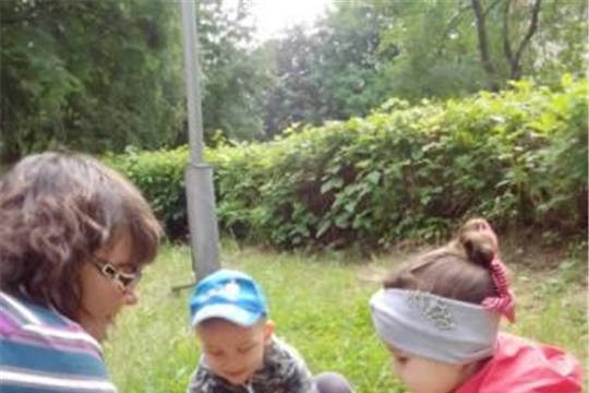Игра-эксперимент "Почему на тропинках не растут растения"