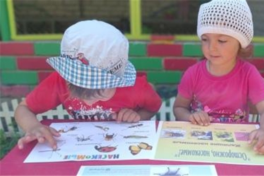 Укусы насекомых