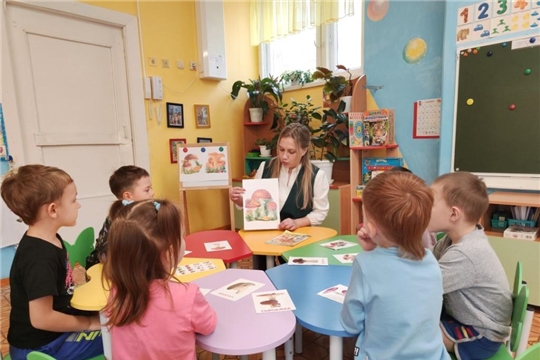 Грибы