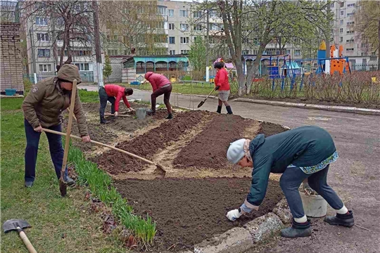 Готовим огород к весенней посадке