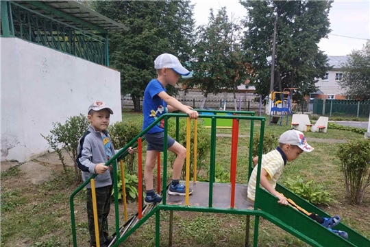 Безопасность во время прогулки