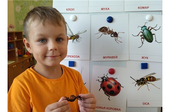 Беседа "Эти крошечные и не всегда безобидные насекомые"