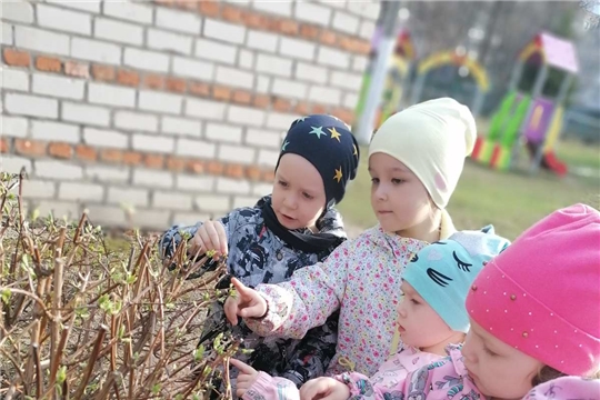 Набдюдения за изменениями в природе