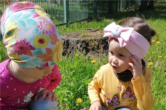 Наблюдение "Съедобные и несъедобные грибы"