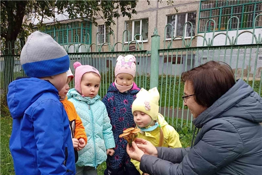 Рассматривание грибов