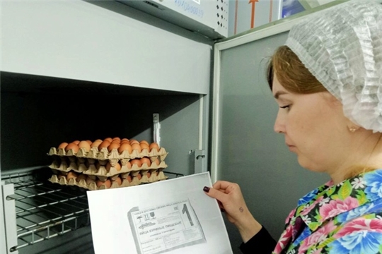 Контроль организации питания