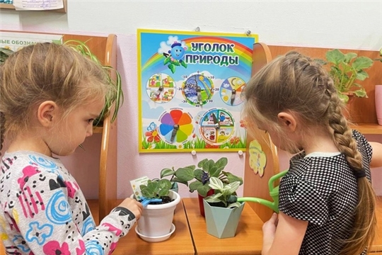 Работа в уголке природы
