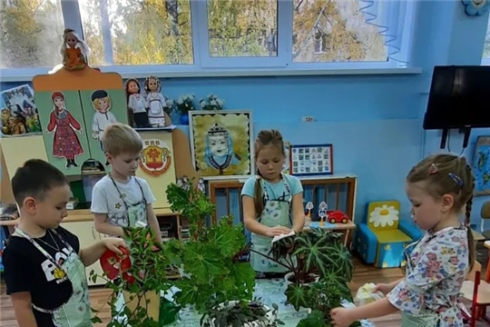 Ухаживаем за растениями 