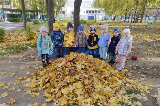 "Убираем листья"