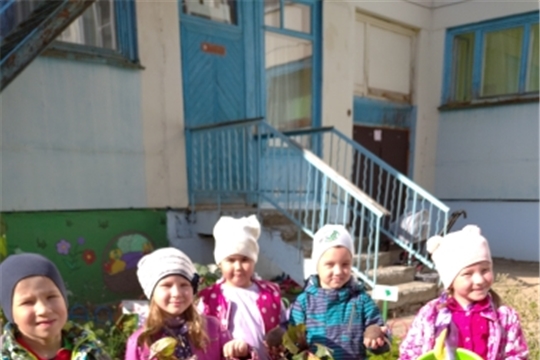 Овощи с грядки