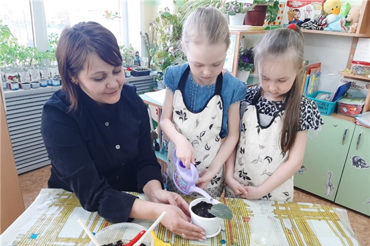Стартовала акция "Цветок ветерану" 