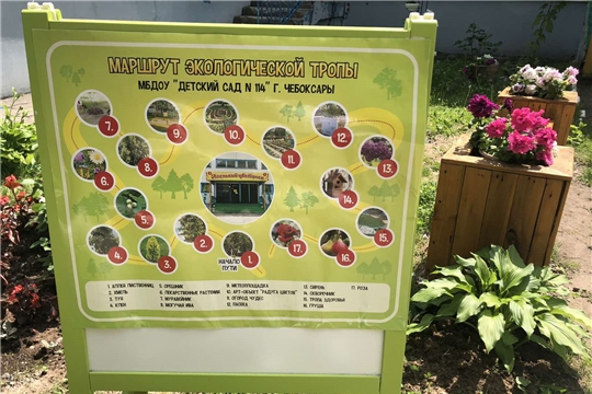 Смотр-конкурс "Лучший детский сад по созданию экологической среды"