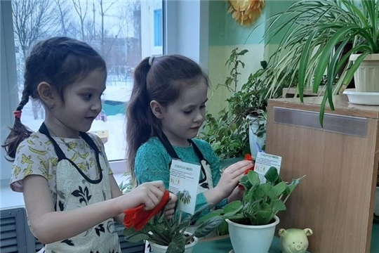 Дежурство в уголке природы
