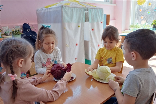 Чем полезна капуста?