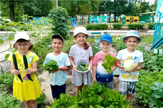 Зеленые витамины