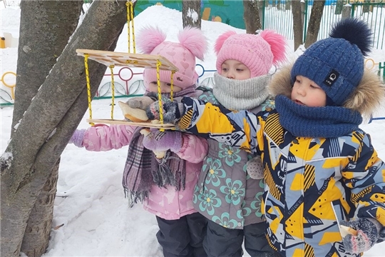 Подкормка зимующих птиц