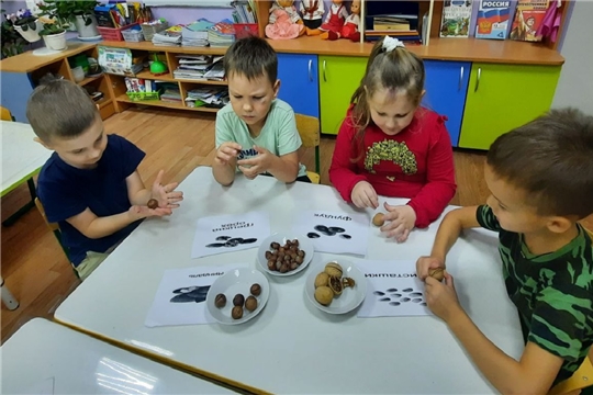 О пользе орехов