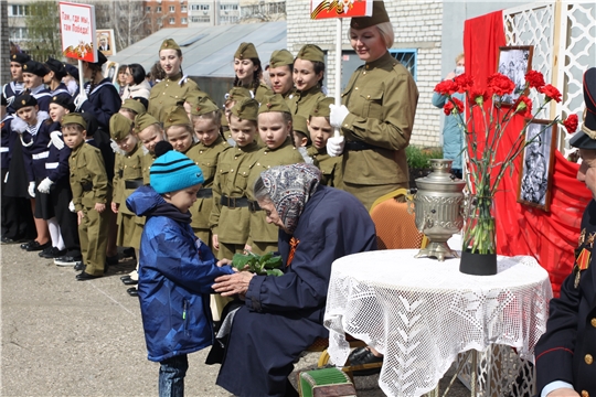 Цветок ветерану