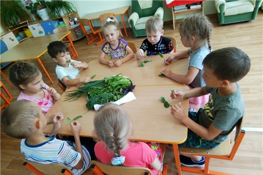 «О пользе свежей зелени»