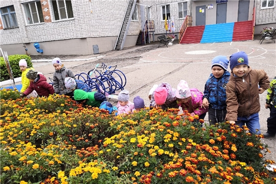 Наблюдение на прогулке