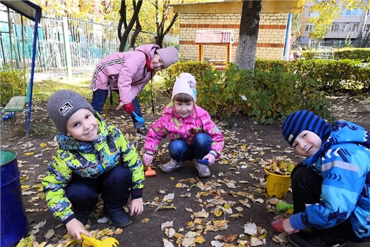 Трудовая деятельность