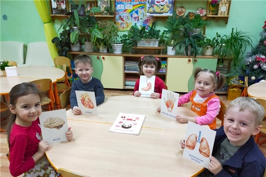 Изучаем свой организм