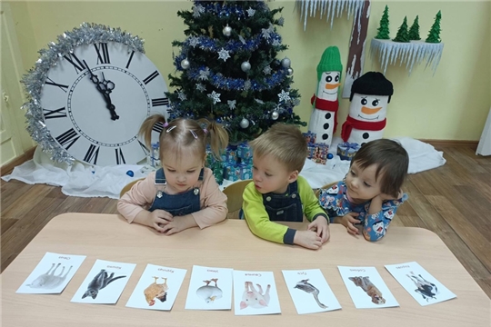 Знакомство  с животным миром..