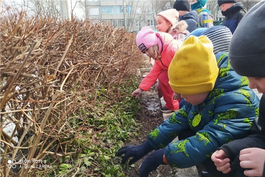 Весна пришла, а с нею солнце