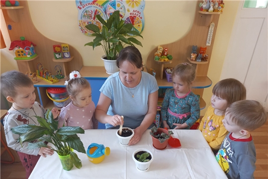 Уход за комнатными растениями