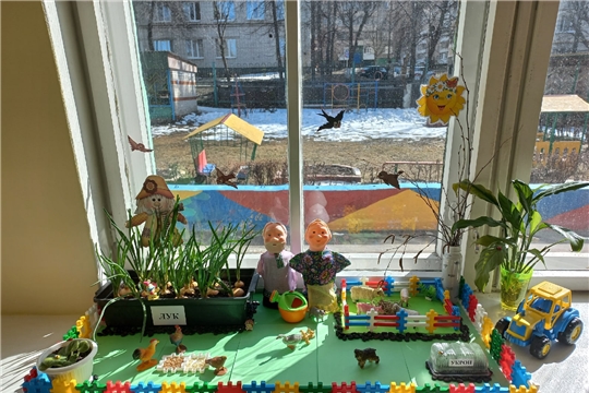 Посадили огород, посмотрите, что растет!