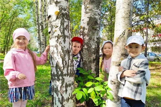 Прогулка по лесу