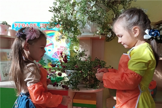 Уход за комнатными растениями