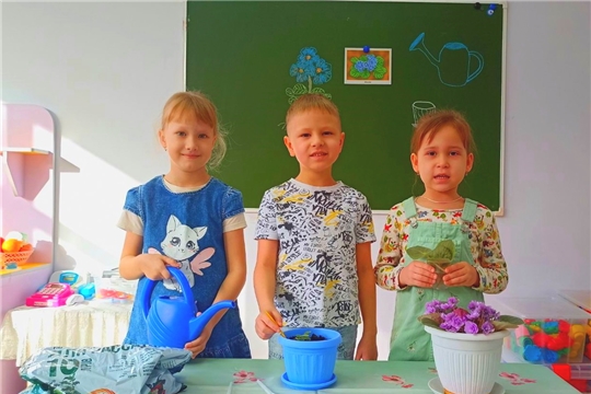 Социально-патриотическая акция "Цветок ветерану"