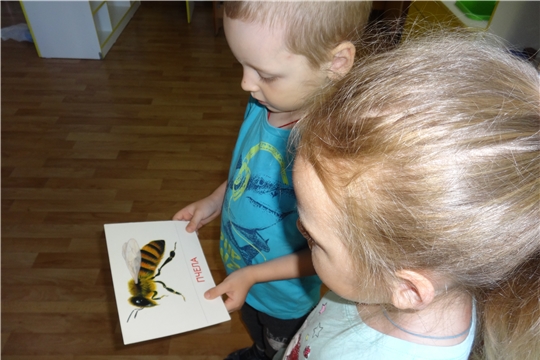 Всемирный день пчел