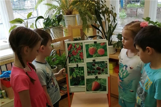 Здоровая пища