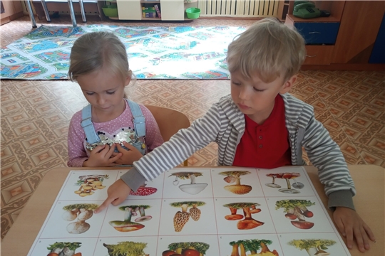 Грибы: съедобные и несъедобные?