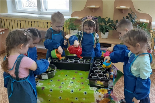 «От семечка к ростку»