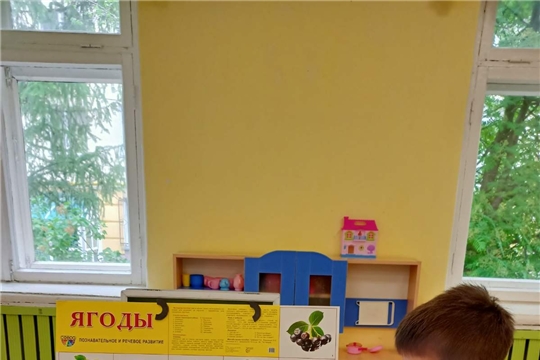 Полезные и ядовитые ягоды